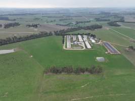 Drone flyover of piggery - Captured at Blackwoods Piggery, Trafalgar VIC Australia.