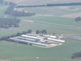 Drone flyover of piggery - Captured at Blackwoods Piggery, Trafalgar VIC Australia.