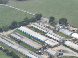 Drone flyover of piggery - Captured at Blackwoods Piggery, Trafalgar VIC Australia.