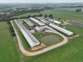 Drone flyover of piggery - Captured at Blackwoods Piggery, Trafalgar VIC Australia.