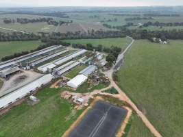 Drone flyover of piggery - Captured at Blackwoods Piggery, Trafalgar VIC Australia.