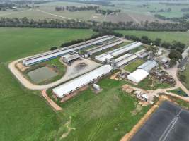 Drone flyover of piggery - Captured at Blackwoods Piggery, Trafalgar VIC Australia.