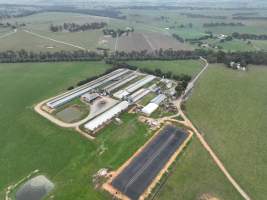 Drone flyover of piggery - Captured at Blackwoods Piggery, Trafalgar VIC Australia.