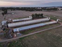 Drone flyover of piggery - Captured at Gowanbrae Piggery, Pine Lodge VIC Australia.