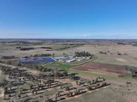 Drone flyover of piggery - Captured at Midland Bacon, Carag Carag VIC Australia.