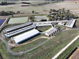 Drone flyover of piggery - Captured at Midland Bacon, Carag Carag VIC Australia.