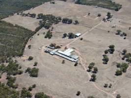 Drone flyover of piggery - Captured at Evans Piggery, Sebastian VIC Australia.