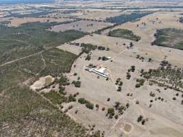 Drone flyover of piggery - Captured at Evans Piggery, Sebastian VIC Australia.