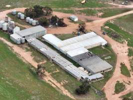 Drone flyover of piggery - Captured at Evans Piggery, Sebastian VIC Australia.