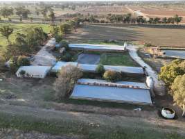 Drone flyover of piggery - Captured at Harston Piggery, Harston VIC Australia.