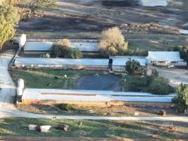 Drone flyover of piggery - Captured at Harston Piggery, Harston VIC Australia.