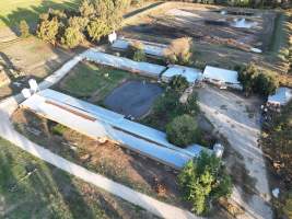 Drone flyover of piggery - Captured at Harston Piggery, Harston VIC Australia.