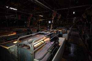 Farrowing crates - Captured at Gowanbrae Piggery, Pine Lodge VIC Australia.