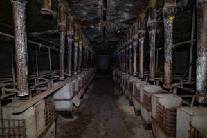 Looking down the aisle of the sow stall shed - Captured at Evans Piggery, Sebastian VIC Australia.