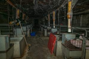 Looking down the aisle of farrowing shed - Captured at Evans Piggery, Sebastian VIC Australia.