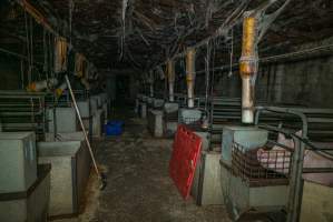 Looking down the aisle of farrowing shed - Captured at Evans Piggery, Sebastian VIC Australia.