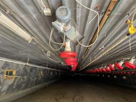 Broiler farm Wullwinkel - A broiler farm in Brandenburg.