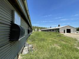 Broiler farm Biesenthal - A broiler farm in Brandenburg.