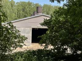 Broiler farm Wullwinkel - A broiler farm in Brandenburg.