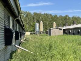 Broiler farm Wullwinkel - A broiler farm in Brandenburg.