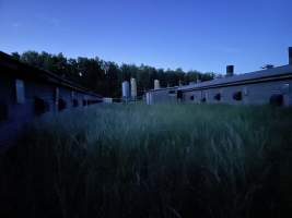 Broiler farm at night
