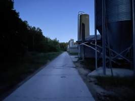 Broiler farm at night