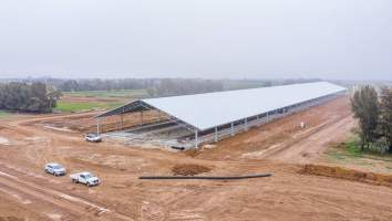 Intensive dairy shed being built - The Clymo's (