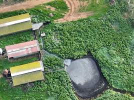 Drone flyover - Captured at Two Wells Piggery, Two Wells SA Australia.