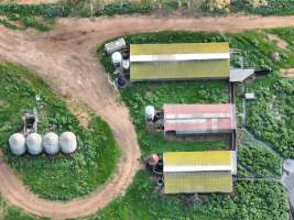 Drone flyover - Captured at Two Wells Piggery, Two Wells SA Australia.