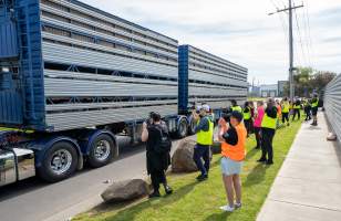 Activists bear witness to pigs in transportation truck at Diamond Valley Pork - Taken at Diamond Valley Pork as part of a vigil for the Melbourne Vegan Takeover - Day of Action for Animals - Captured at Diamond Valley Pork, Laverton North VIC Australia.