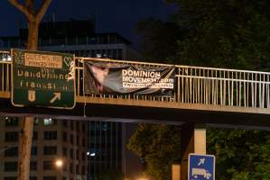 Dominion banners hanging over King's Way in Melbourne - Image taken of banner drop over King's Way in Southbank, as part of Melbourne Vegan Takeover - Captured at VIC.