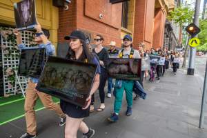 Activists protest the widespread use of cages for pigs - Image taken at Spencer Street as part of the Melbourne Vegan Takeover - Day of Action for Animals - Captured at VIC.