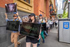 Activists protest the widespread use of cages for pigs - Image taken at Spencer Street as part of the Melbourne Vegan Takeover - Day of Action for Animals - Captured at VIC.