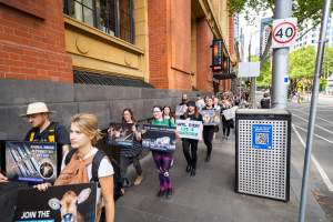 Activists protest the widespread use of cages for pigs - Image taken at Spencer Street as part of the Melbourne Vegan Takeover - Day of Action for Animals - Captured at VIC.