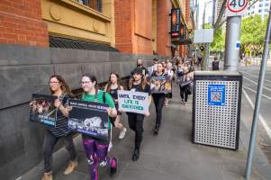 Activists protest the widespread use of cages for pigs - Image taken at Spencer Street as part of the Melbourne Vegan Takeover - Day of Action for Animals - Captured at VIC.