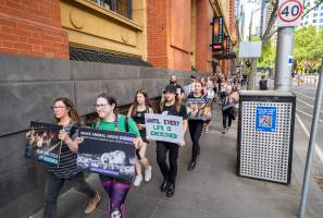 Activists protest the widespread use of cages for pigs - Image taken at Spencer Street as part of the Melbourne Vegan Takeover - Day of Action for Animals - Captured at VIC.