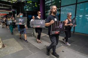 Activists protest the widespread use of cages for pigs - Image taken at Spencer Street as part of the Melbourne Vegan Takeover - Day of Action for Animals - Captured at VIC.