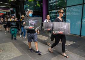 Activists protest the widespread use of cages for pigs - Image taken at Spencer Street as part of the Melbourne Vegan Takeover - Day of Action for Animals - Captured at VIC.