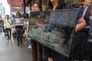 Activists protest the widespread use of cages for pigs - Image taken at Spencer Street as part of the Melbourne Vegan Takeover - Day of Action for Animals - Captured at VIC.