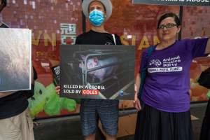 Activists protest the widespread use of cages for pigs - Image taken at Spencer Street as part of the Melbourne Vegan Takeover - Day of Action for Animals - Captured at VIC.