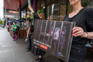 Activists protest the widespread use of cages for pigs - Image taken at Spencer Street as part of the Melbourne Vegan Takeover - Day of Action for Animals - Captured at VIC.