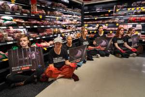 Activists protest the widespread use of cages for pigs - Image taken at Spencer Street as part of the Melbourne Vegan Takeover - Day of Action for Animals - Captured at VIC.