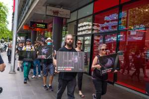 Activists protest the widespread use of cages for pigs - Image taken at Spencer Street as part of the Melbourne Vegan Takeover - Day of Action for Animals - Captured at VIC.