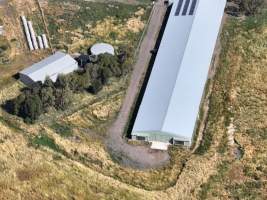 Drone flyover of free-range egg farm - Layer hens seen outside - Captured at Free-range egg farm (Peter & Cheryl King), Lethbridge VIC Australia.