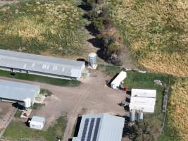 Drone flyover of free-range egg farm - Layer hens seen outside - Captured at Free-range egg farm (Peter & Cheryl King), Lethbridge VIC Australia.