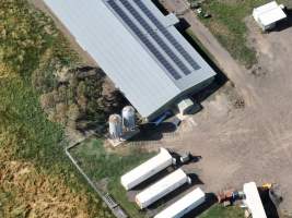 Drone flyover of free-range egg farm - Layer hens seen outside - Captured at Free-range egg farm (Peter & Cheryl King), Lethbridge VIC Australia.