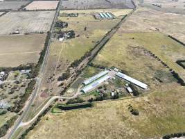 Drone flyover of free-range egg farm - Layer hens seen outside - Captured at Free-range egg farm (Peter & Cheryl King), Lethbridge VIC Australia.