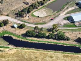 Drone flyover of free-range egg farm - Layer hens seen outside - Captured at Free-range egg farm (Peter & Cheryl King), Lethbridge VIC Australia.