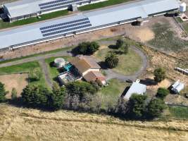 Drone flyover of free-range egg farm - Layer hens seen outside - Captured at Free-range egg farm (Peter & Cheryl King), Lethbridge VIC Australia.
