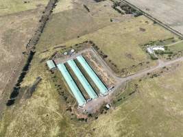 Drone flyover of egg farm - Captured at Barn-laid egg farm, Teesdale VIC Australia.